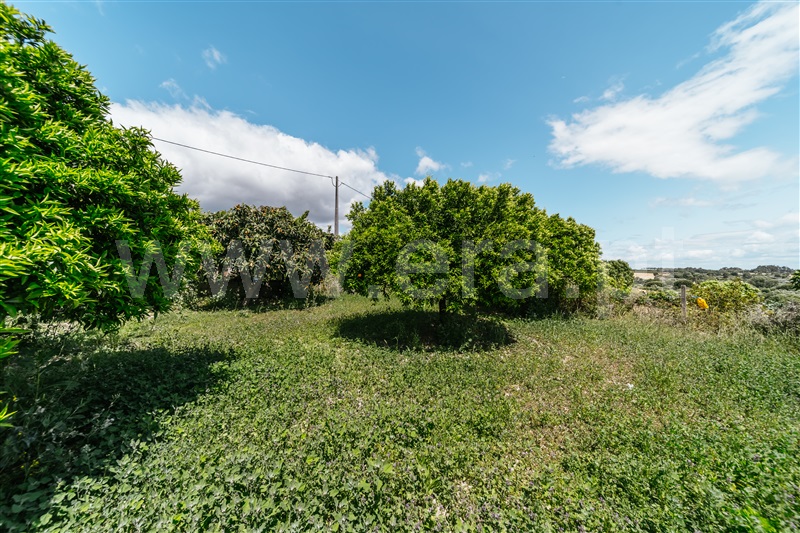 Lote  Fundão, Póvoa da Atalaia - 1347958 - 12