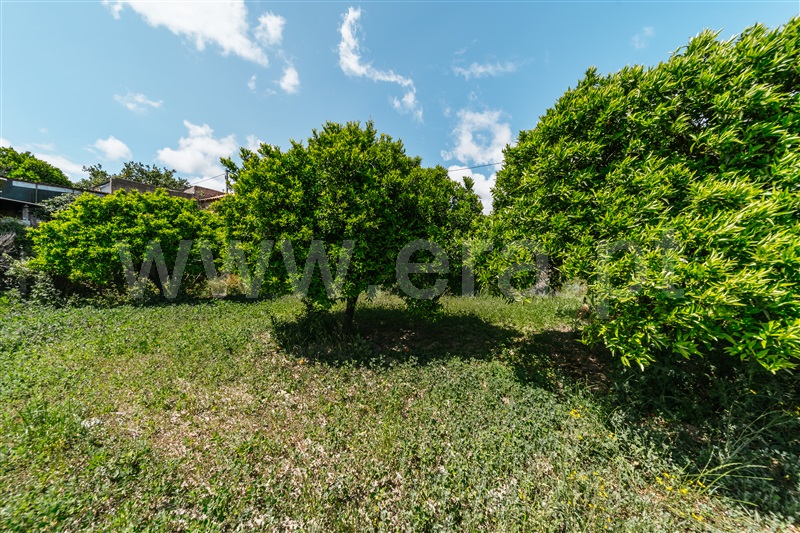 Lote  Fundão, Póvoa da Atalaia - 1347958 - 13