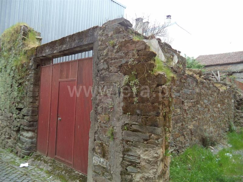 Lote  Fundão, Silvares - 566824 - 5
