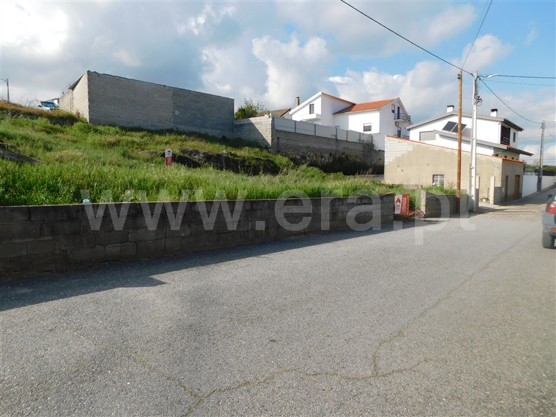 Lote / Fundão, Soalheira