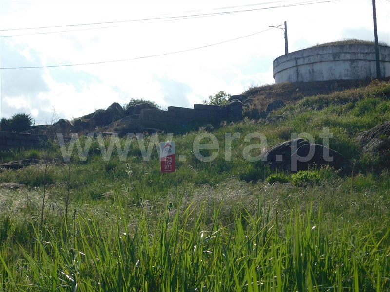 Lote  Fundão, Soalheira - 1394982 - 5