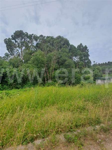 Lote  Gondomar, Baguim do Monte - 1333815 - 10