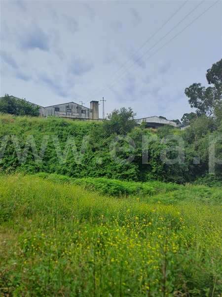 Lote  Gondomar, Baguim do Monte - 1333815 - 13