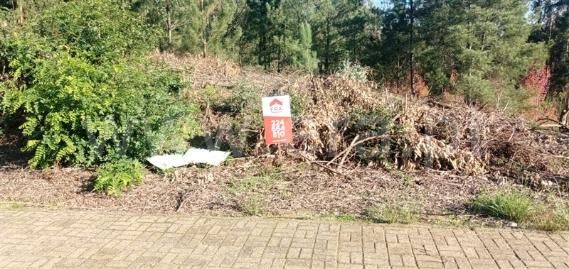 Lote  Gondomar, Foz do Sousa - 1091640 - 24