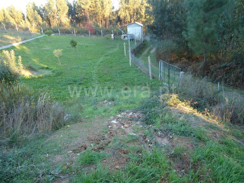 Lote / Gondomar, Lomba