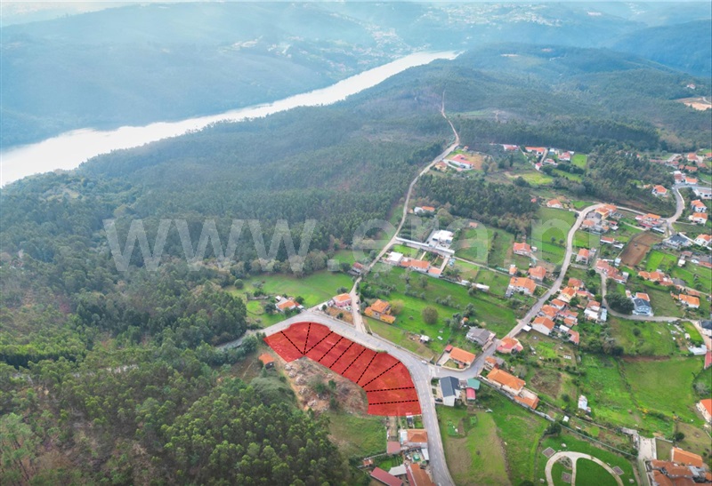 Lote / Gondomar, Melres e Medas