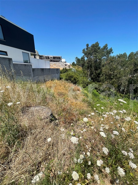 Lote  Gondomar, S. Pedro da Cova - 1490914 - 1