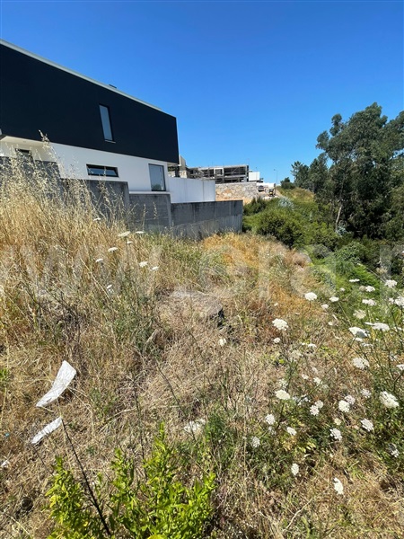 Lote  Gondomar, S. Pedro da Cova - 1490914 - 2