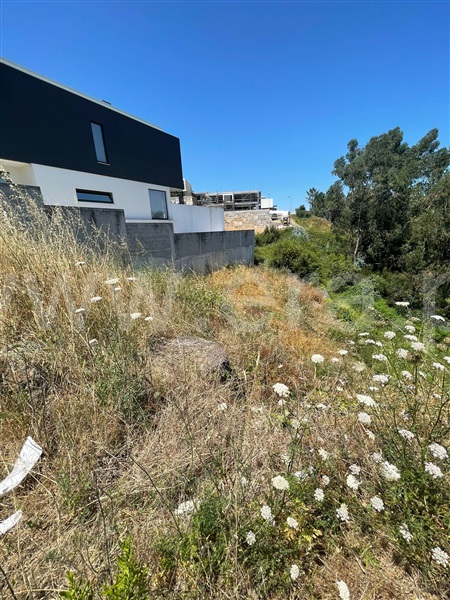Lote  Gondomar, S. Pedro da Cova - 1490914 - 3