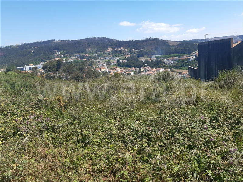 Lote / Gondomar, SPC 1