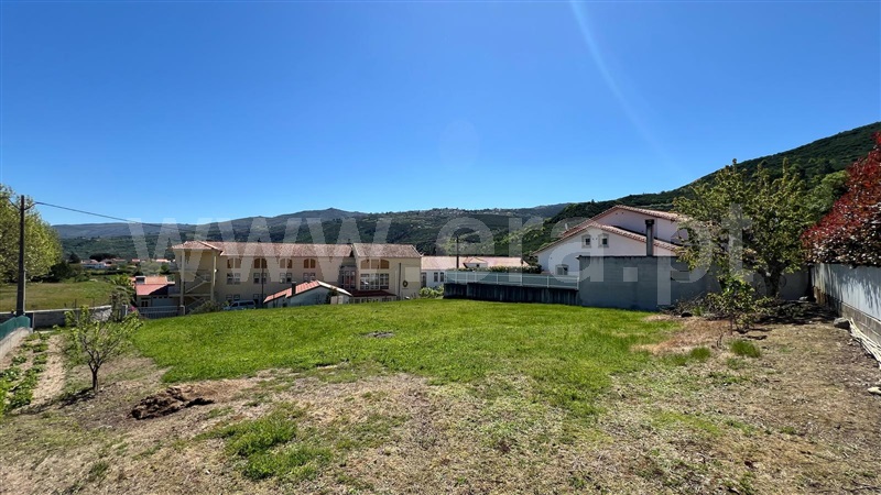 Lote  Gouveia, - 1474282 - 1