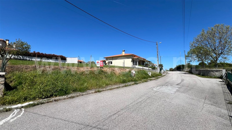 Lote  Gouveia, - 1474282 - 4
