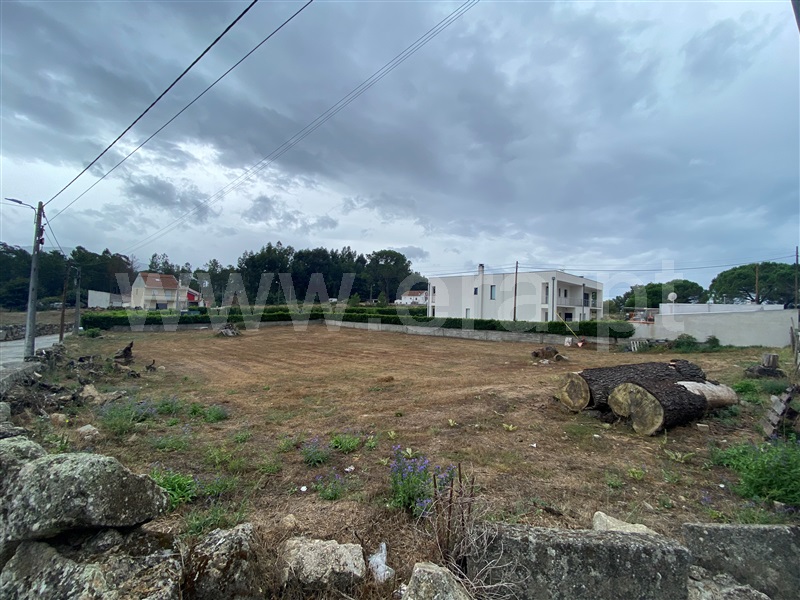 Lote  Gouveia, Rio Torto e Lagarinhos - 1348831 - 4