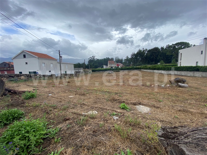 Lote  Gouveia, Rio Torto e Lagarinhos - 1348831 - 6