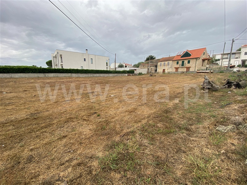 Lote  Gouveia, Rio Torto e Lagarinhos - 1348831 - 7