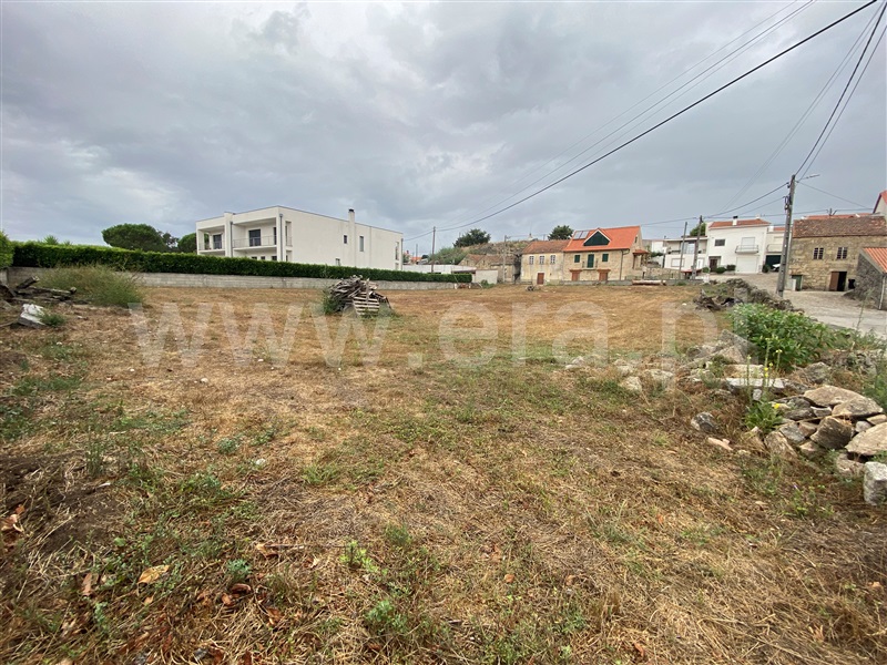 Lote  Gouveia, Rio Torto e Lagarinhos - 1348831 - 8