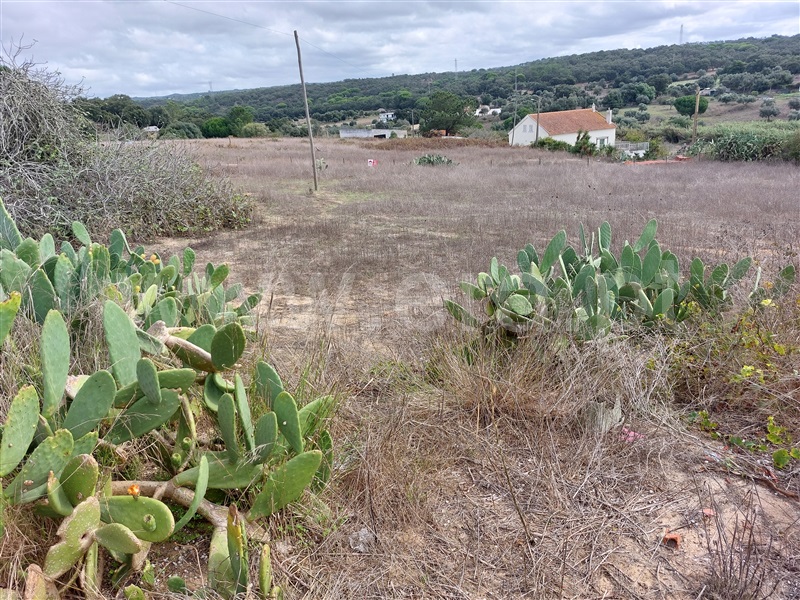 Lote / Grândola, Grândola