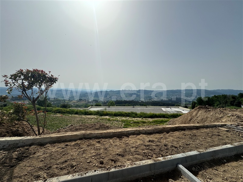 Lote / Guimarães, Abação e Gémeos