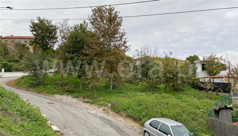Lote / Guimarães, Selho São Lourenço e Gominhães