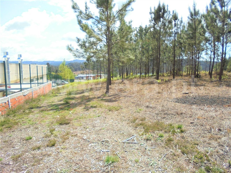 Lote Industrial  Barcelos, Fragoso - 908322 - 3
