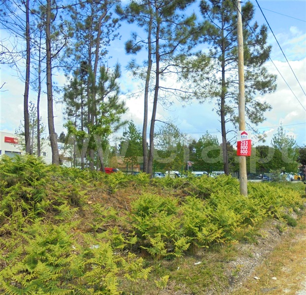 Lote Industrial  Barcelos, Fragoso - 908322 - 4