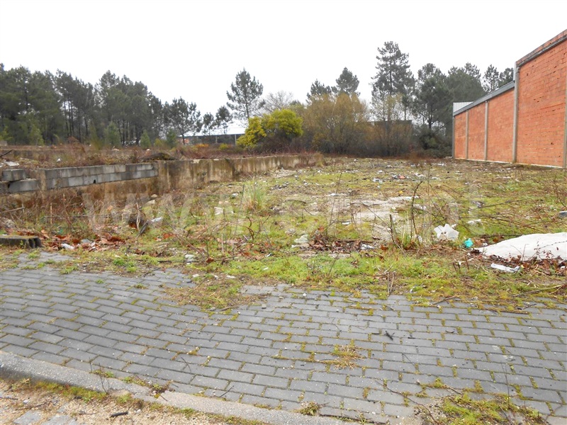 Lote Industrial / Barcelos, Fragoso