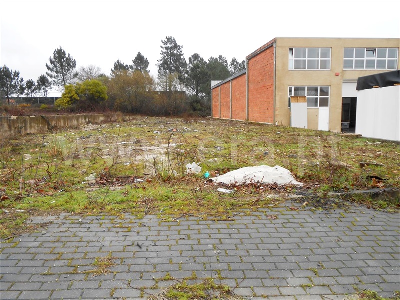 Lote Industrial / Barcelos, Fragoso