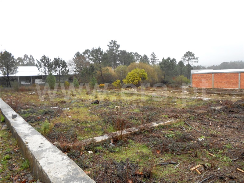 Lote Industrial / Barcelos, Fragoso