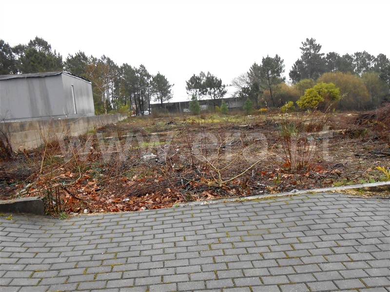 Lote Industrial  Barcelos, Fragoso - 908482 - 2