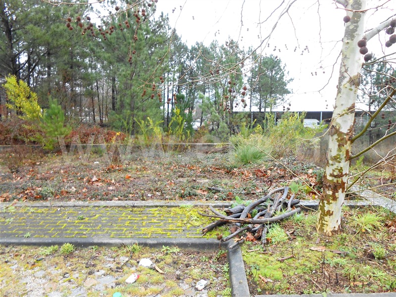 Lote Industrial  Barcelos, Fragoso - 908482 - 7