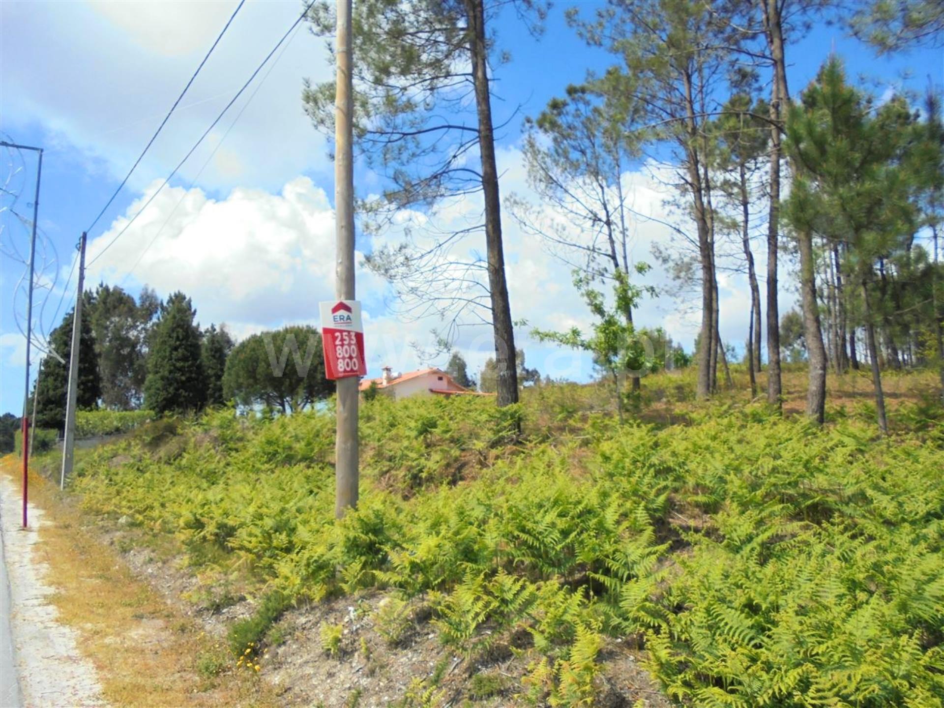 Land for sale in Barcelos, Portugal — €329,000