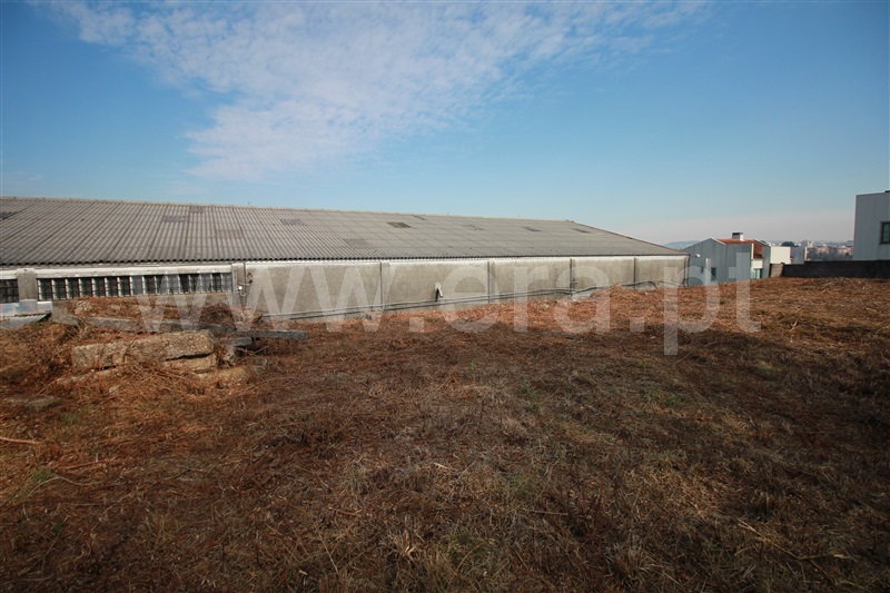 Lote Industrial  Braga, Ferreiros e Gondizalves - 1310778 - 10