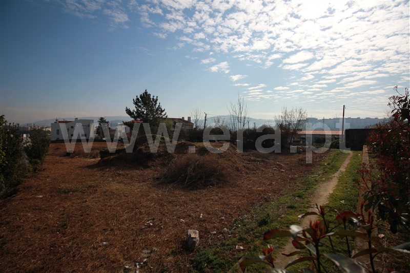 Lote Industrial  Braga, Ferreiros e Gondizalves - 1310778 - 14
