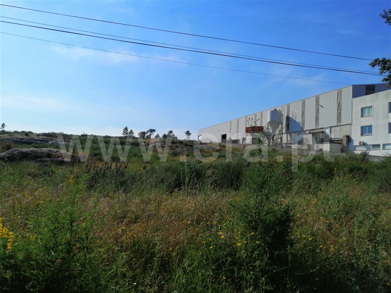 Lote Industrial  Chaves, Outeiro Seco - 1086666 - 2