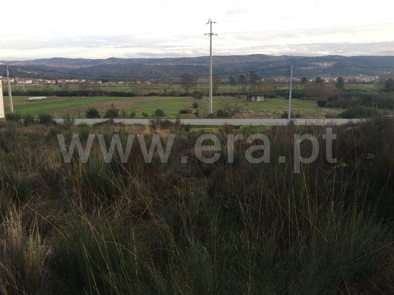 Lote Industrial  Chaves, Outeiro Seco - 1148028 - 4