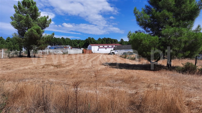 Lote Industrial  Chaves, Santa Cruz/Trindade e Sanjurge - 1195803 - 2