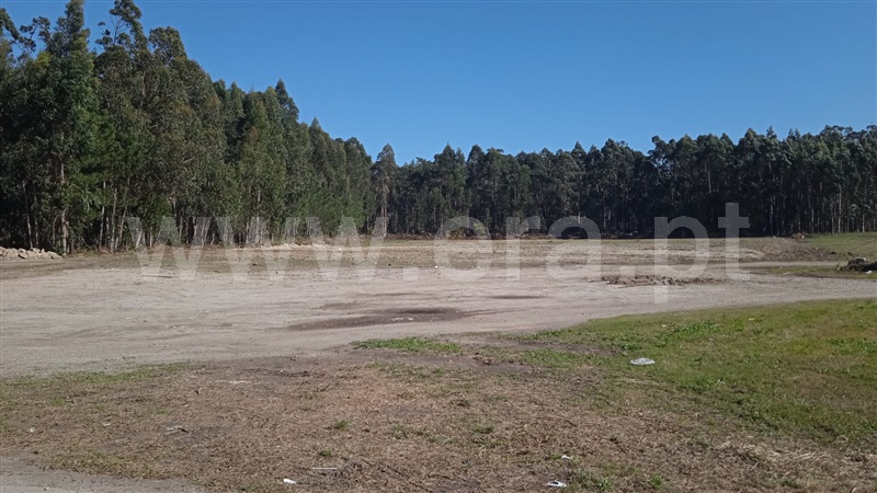 Lote Industrial / Esposende, Palmeira de Faro e Curvos