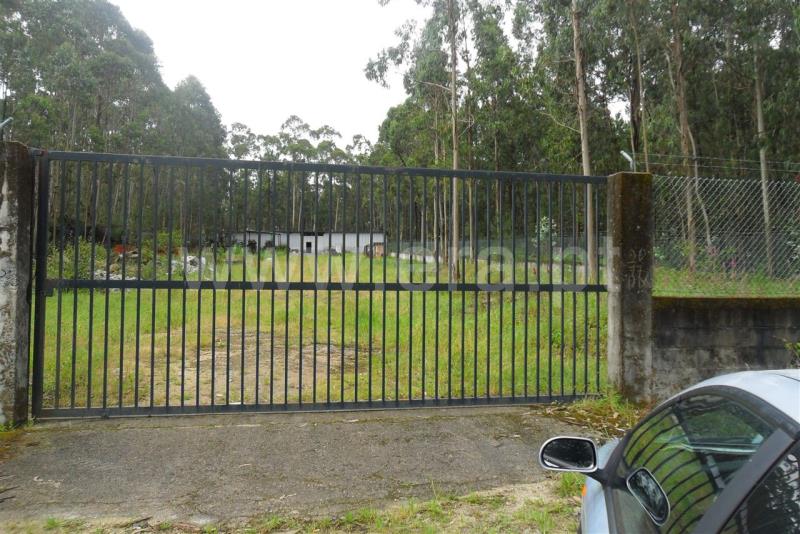 Lote Industrial  Esposende, Vila Chã - 416733 - 2