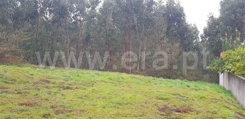 Lote Industrial  Fafe, Golães - 1446448 - 3