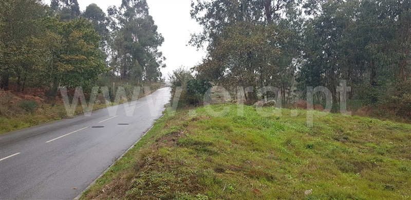 Lote Industrial  Fafe, Golães - 1446448 - 4