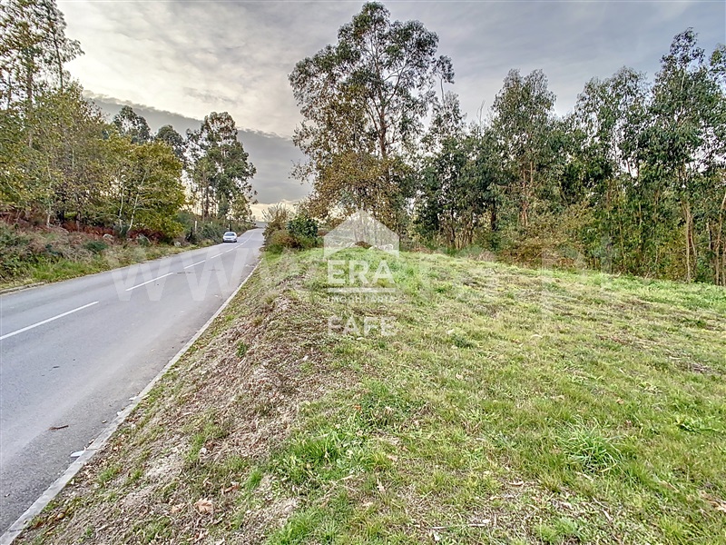 Lote Industrial / Fafe, Golães