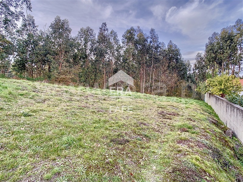 Lote Industrial  Fafe, Golães - 1446448 - 10