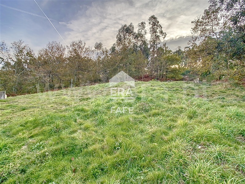 Lote Industrial  Fafe, Golães - 1446448 - 11