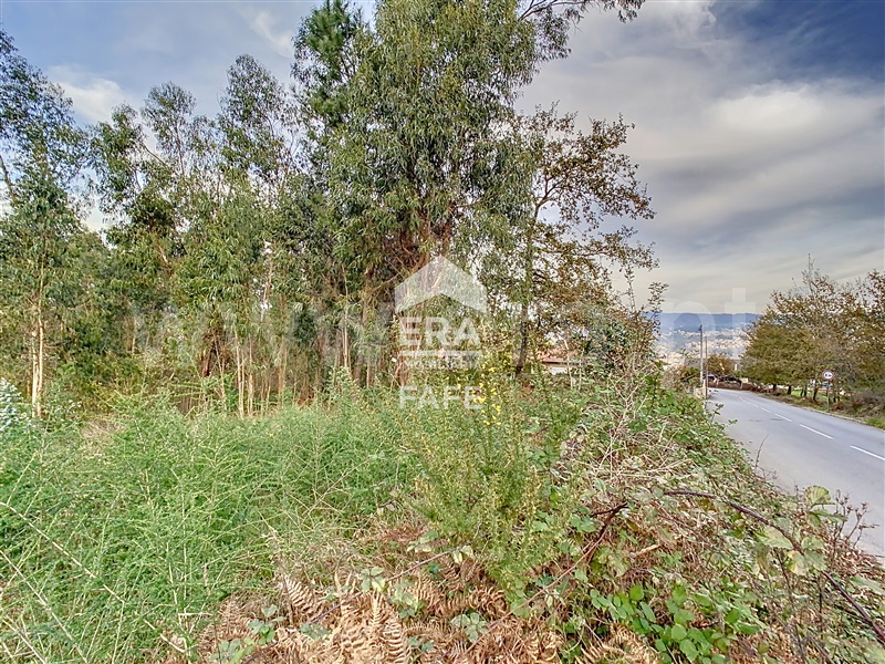 Lote Industrial  Fafe, Golães - 1446448 - 15