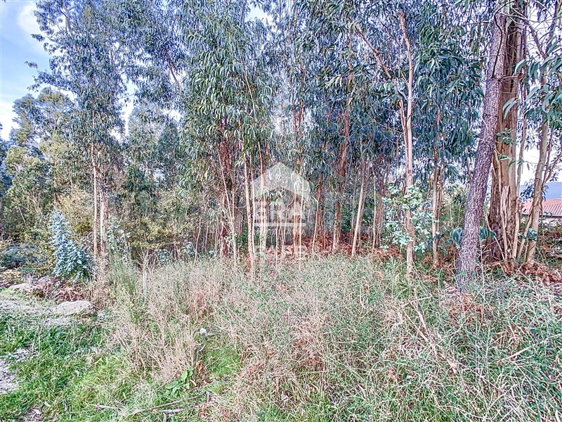 Lote Industrial  Fafe, Golães - 1446448 - 16