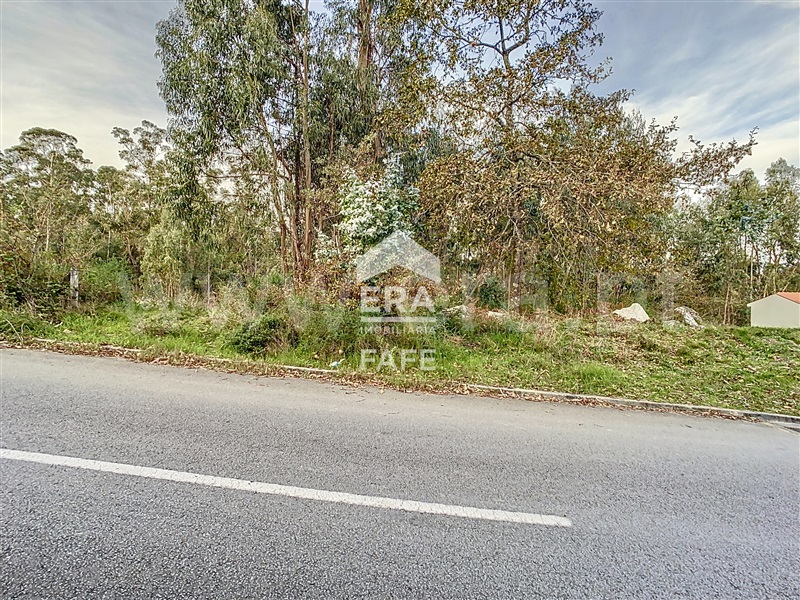 Lote Industrial  Fafe, Golães - 1446448 - 17