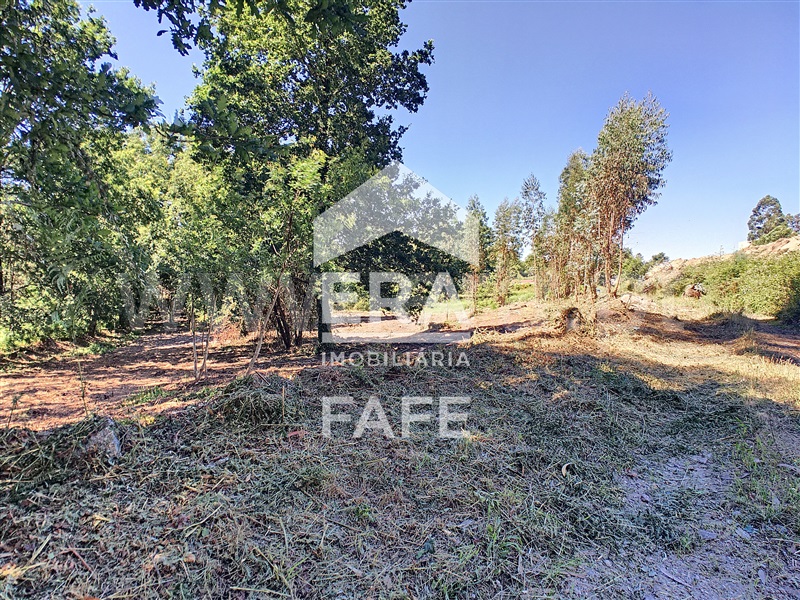 Lote Industrial  Fafe, Quinchães - 1387808 - 6