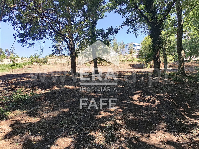 Lote Industrial  Fafe, Quinchães - 1387808 - 8