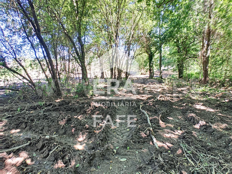 Lote Industrial  Fafe, Quinchães - 1387808 - 9