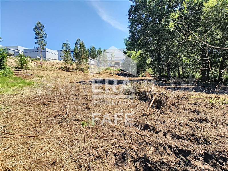 Lote Industrial  Fafe, Quinchães - 1387808 - 10